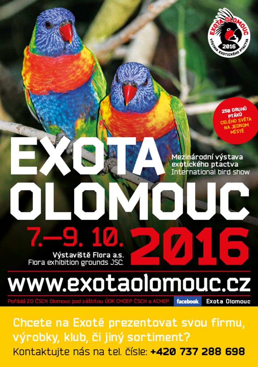 Exota 2016